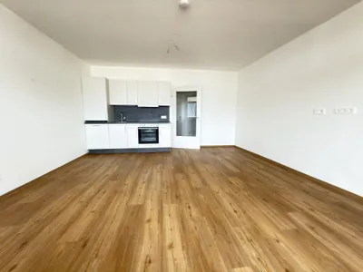 1-Zimmer-Wohnung mieten in Grieskirchen – 35,6 m², € 402 – Bild 13 von 14