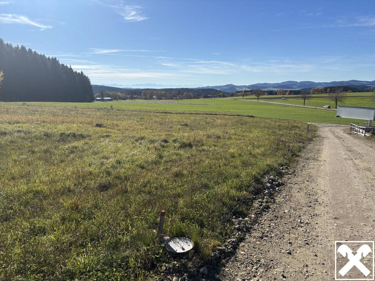 Baugrundstücke Grünbach bei Freistadt - Ansicht 2