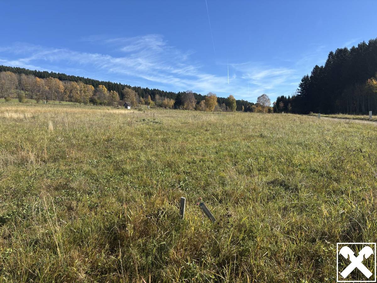 Baugrundstücke Grünbach bei Freistadt - Ansicht 3