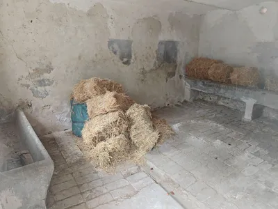 Immobilie kaufen in Eisenstadt - Umgebung – 121 m², € 295.000 – Bild 29 von 32
