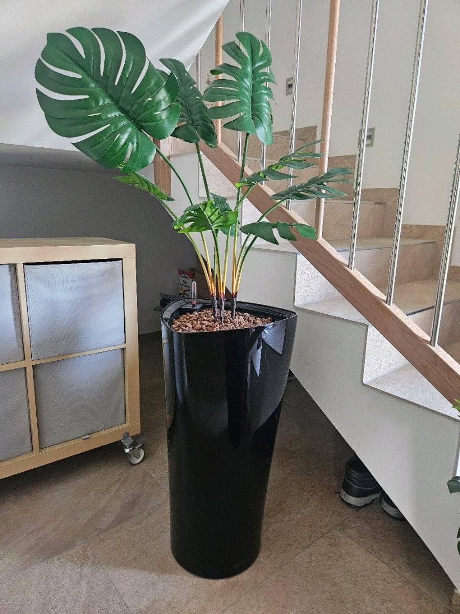 Topfpflanze plastik gro,  20,- (6610 Wngle) - willhaben