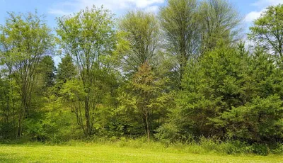 Immobilie kaufen in Hartberg-Fürstenfeld – 640 m², € 3.300.000 – Bild 31 von 42