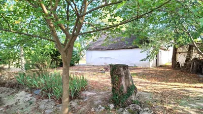 Immobilie kaufen in Hollabrunn – € 28.000 – Bild 14 von 17