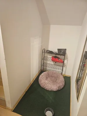2-Zimmer-Wohnung mieten in Sankt Pölten Land – 74 m², € 627 – Bild 9 von 20