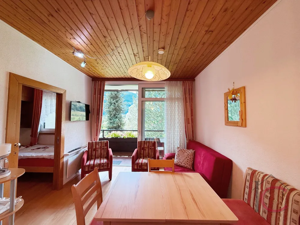 Klein aber fein … 2-Zi.-Appartement, Nahe des Ski- und Thermalzentrums - Ansicht 2