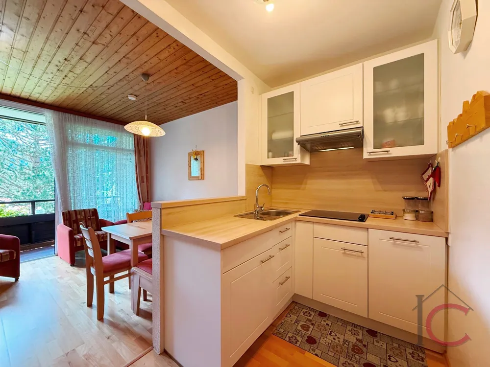 Klein aber fein … 2-Zi.-Appartement, Nahe des Ski- und Thermalzentrums - Ansicht 3