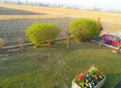 6-Zimmer-Haus mieten in Korneuburg – 162 m², € 2.690 – Bild 29 von 44