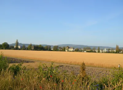 6-Zimmer-Haus mieten in Korneuburg – 162 m², € 2.690 – Bild 30 von 44