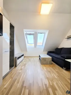 1-Zimmer-Wohnung mieten in Wiener Neustadt – 23,5 m², € 500