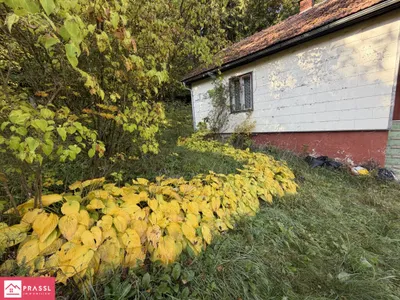 2-Zimmer-Haus kaufen in Bruck-Mürzzuschlag – 44,58 m², € 70.000 – Bild 6 von 20