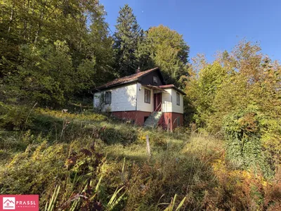 2-Zimmer-Haus kaufen in Bruck-Mürzzuschlag – 44,58 m², € 70.000