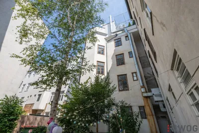 5-Zimmer-Gewerbeimmobilie mieten in Wien – 317 m², € 3.292 – Bild 16 von 19