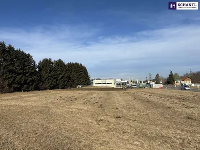 Immobilie kaufen in Graz-Umgebung – 5 000 m², € 950.000 – Bild 3 von 12