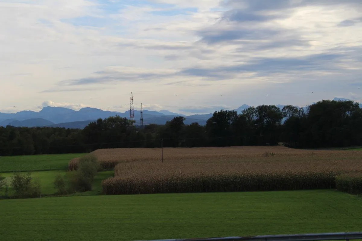 Wohnung – Kematen an der Krems - Ansicht 2