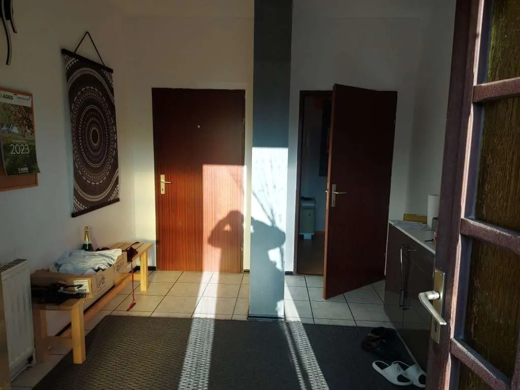 Haus – Mitterndorf an der Fischa, Katastralgemeinde Mitterndorf - Ansicht 3