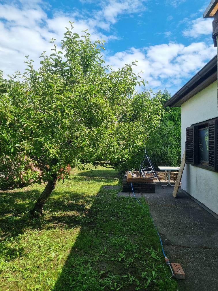 Kleingarten (ganzjährig bewohnbar gewidmet), Biogarten - Ansicht 3