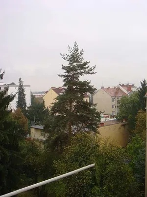 2-Zimmer-Wohnung mieten in Graz – 65 m², € 800 – Bild 15 von 15