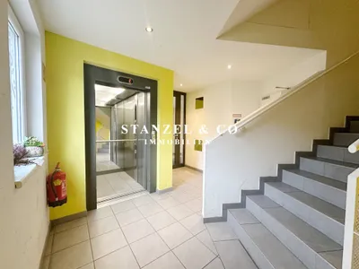 2-Zimmer-Wohnung mieten in Wien – 51 m², € 947 – Bild 18 von 24