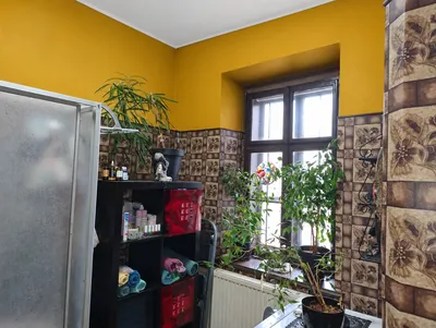 Haus kaufen in Hartberg-Fürstenfeld – 160 m², € 379.000 – Bild 24 von 35