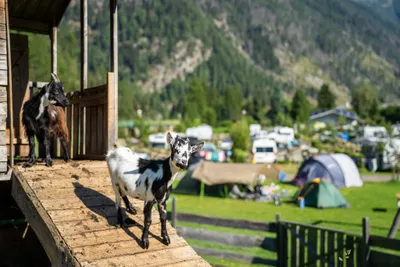 Gewerbeimmobilie mieten in Spittal an der Drau – 260 m² – Bild 10 von 12