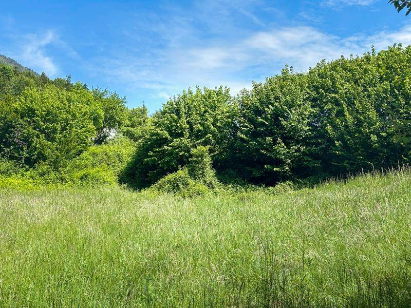 Wolfgangsee: Wo Wald, See & Exklusivität einander begegnen - Ansicht 2