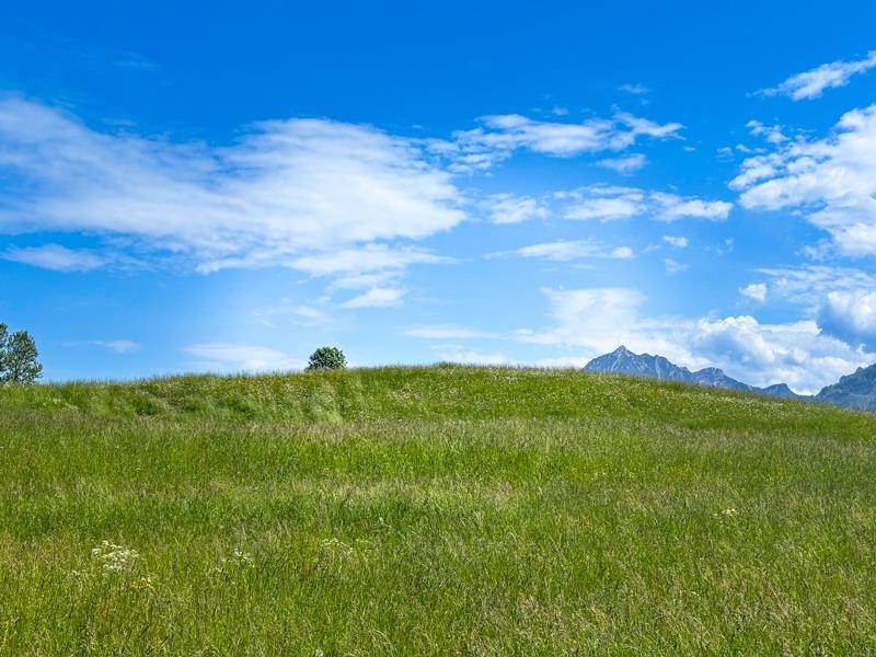 Wolfgangsee: Wo Wald, See & Exklusivität einander begegnen - Ansicht 3