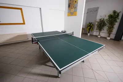 18-Zimmer-Gewerbeimmobilie kaufen in Neusiedl am See – 4 466 m², € 2.790.000 – Bild 25 von 47