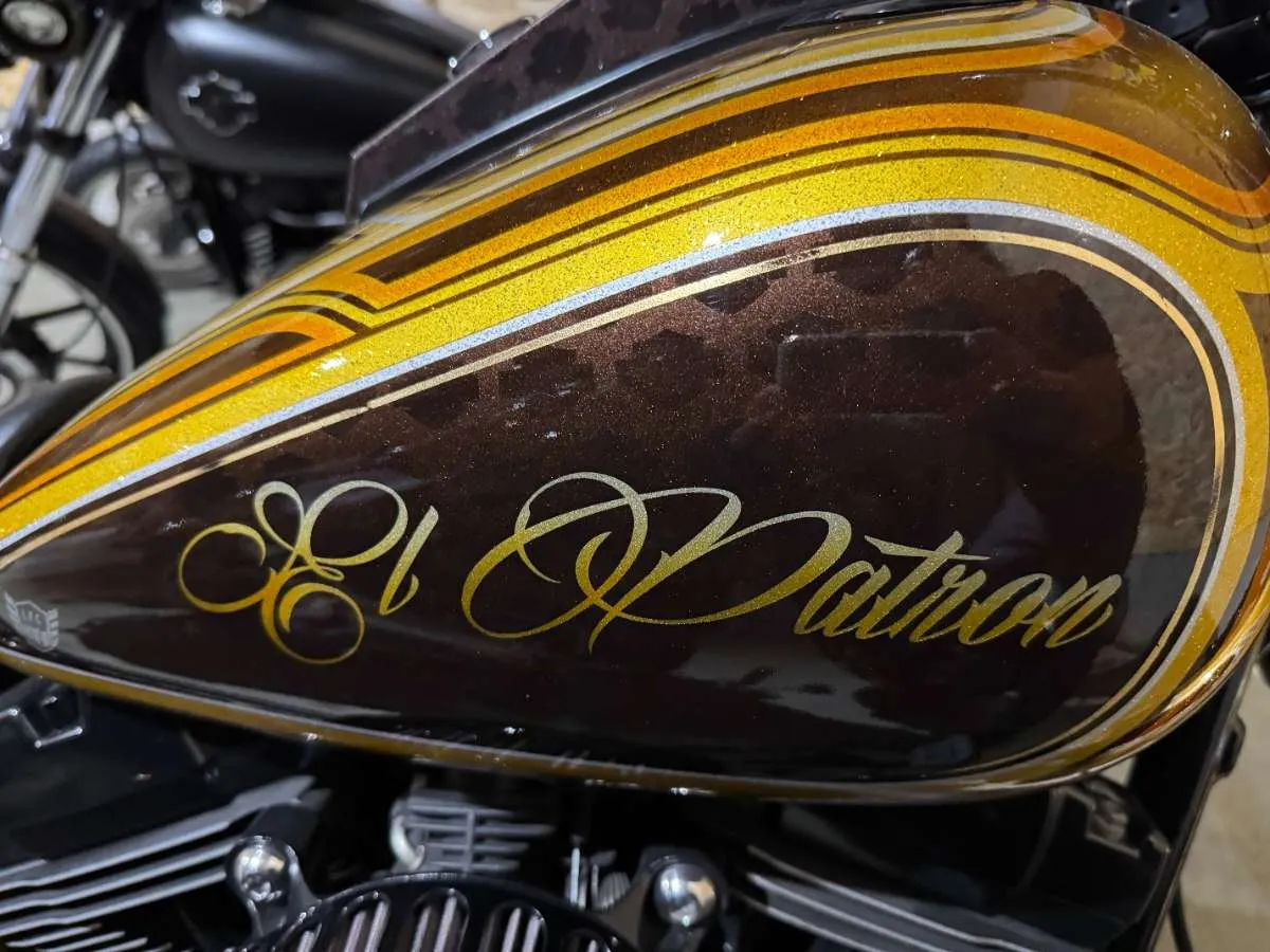 Harley-Davidson Softail