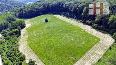 13-Zimmer-Immobilie kaufen in Sankt Pölten Land – 475,8 m², € 1.750.000 – Bild 9 von 27