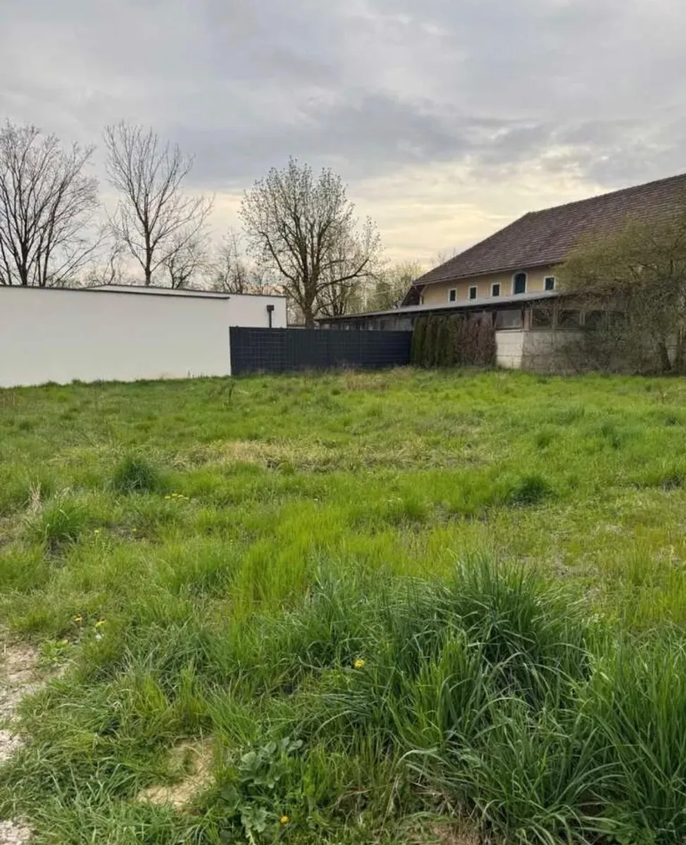 Baugrundstück in ruhiger Top-Lage nahe Pasching & Linz KEIN BAUZWANG KEINE MAKLERPROVISION - Ansicht 3