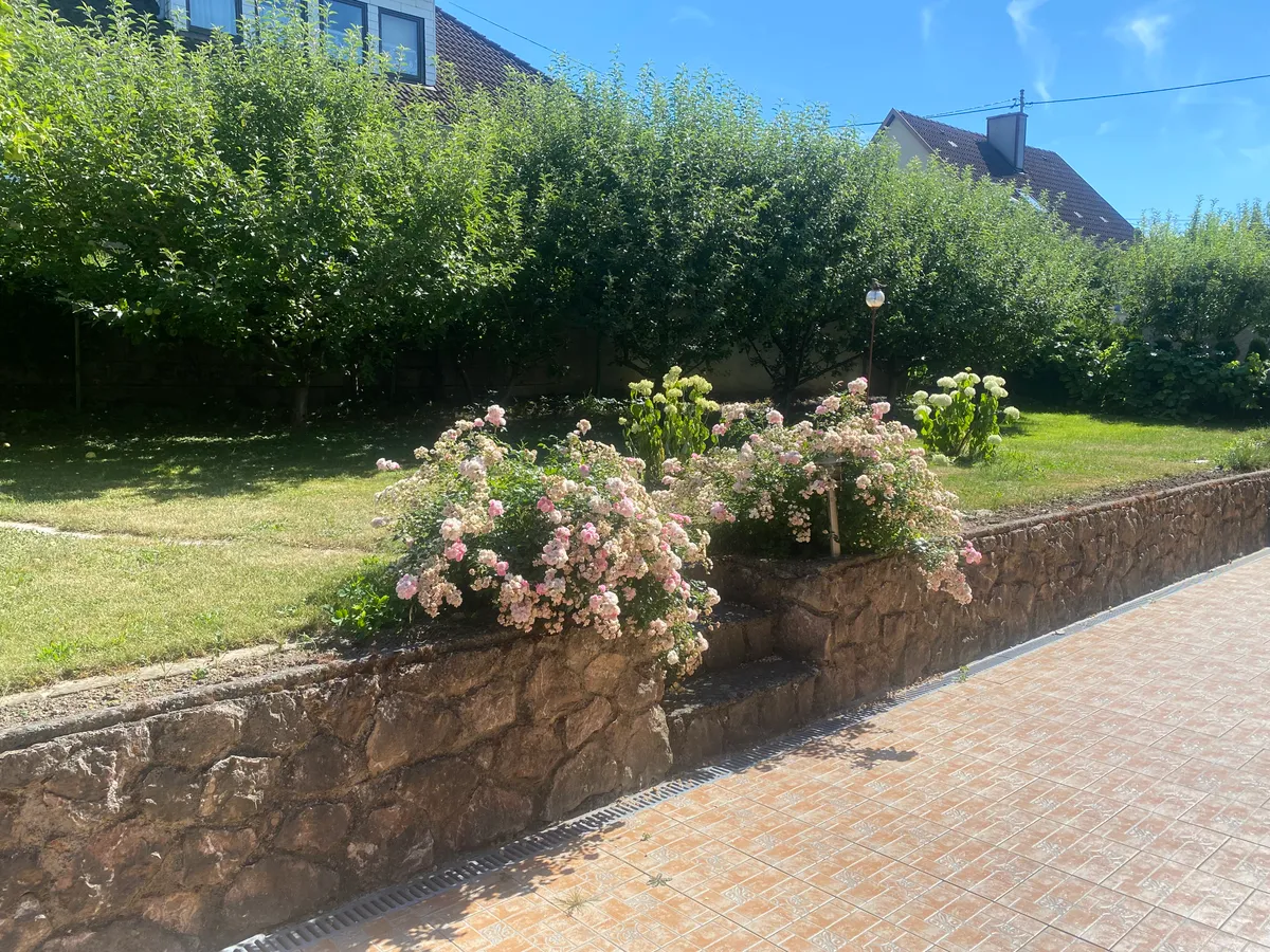 Neuwertiger Bungalow mit traumhaftem Garten am Stadtrand von Steyr - absolute Ruhelage - Ansicht 2