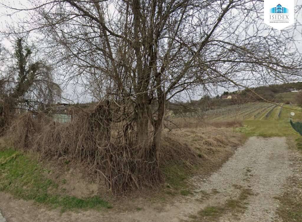 Baugrundstücke am Fuße des Bisambergs - Ansicht 2