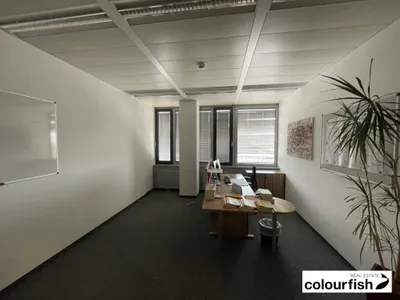 Gewerbeimmobilie mieten in Wien – 252 m², € 16 – Bild 4 von 5