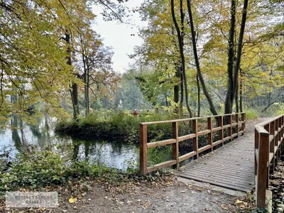 Grundstück kaufen in Baden – 1 378 m², € 482.300 – Bild 5 von 7