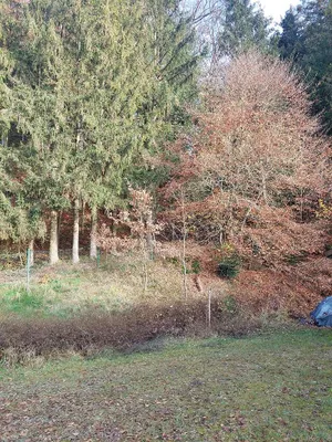 2-Zimmer-Immobilie kaufen in Braunau am Inn – 100 m², € 780.000 – Bild 7 von 14