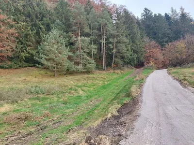 2-Zimmer-Immobilie kaufen in Braunau am Inn – 100 m², € 780.000 – Bild 14 von 14