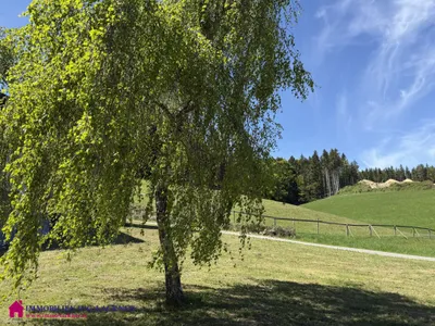 4-Zimmer-Haus kaufen in Braunau am Inn – 129,22 m², € 325.000 – Bild 21 von 21