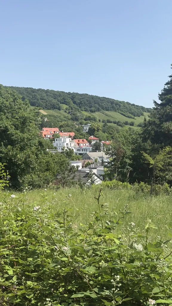 Blick auf die Weinberge! Grundstück für Villenbebauung in absoluter Ruhelage Nussberg - Ansicht 2