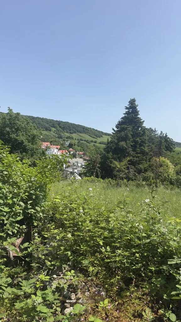 Blick auf die Weinberge! Grundstück für Villenbebauung in absoluter Ruhelage Nussberg - Ansicht 3
