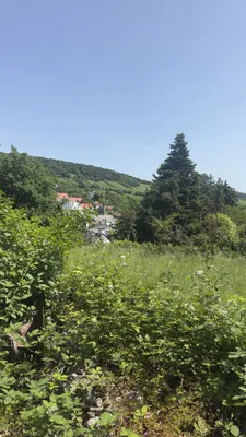 Grundstück kaufen in Wien – 870 m², € 1.780.000 – Bild 3 von 5