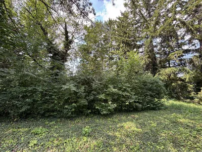 Grundstück kaufen in Wiener Neustadt Land – 1 827 m², € 499.000 – Bild 7 von 10