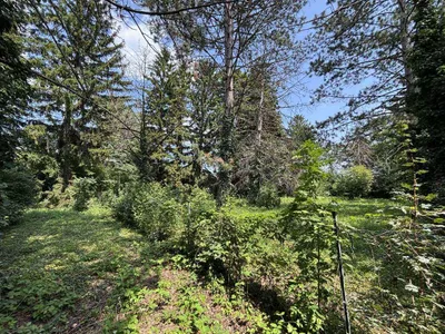 Grundstück kaufen in Wiener Neustadt Land – 1 827 m², € 499.000 – Bild 6 von 10
