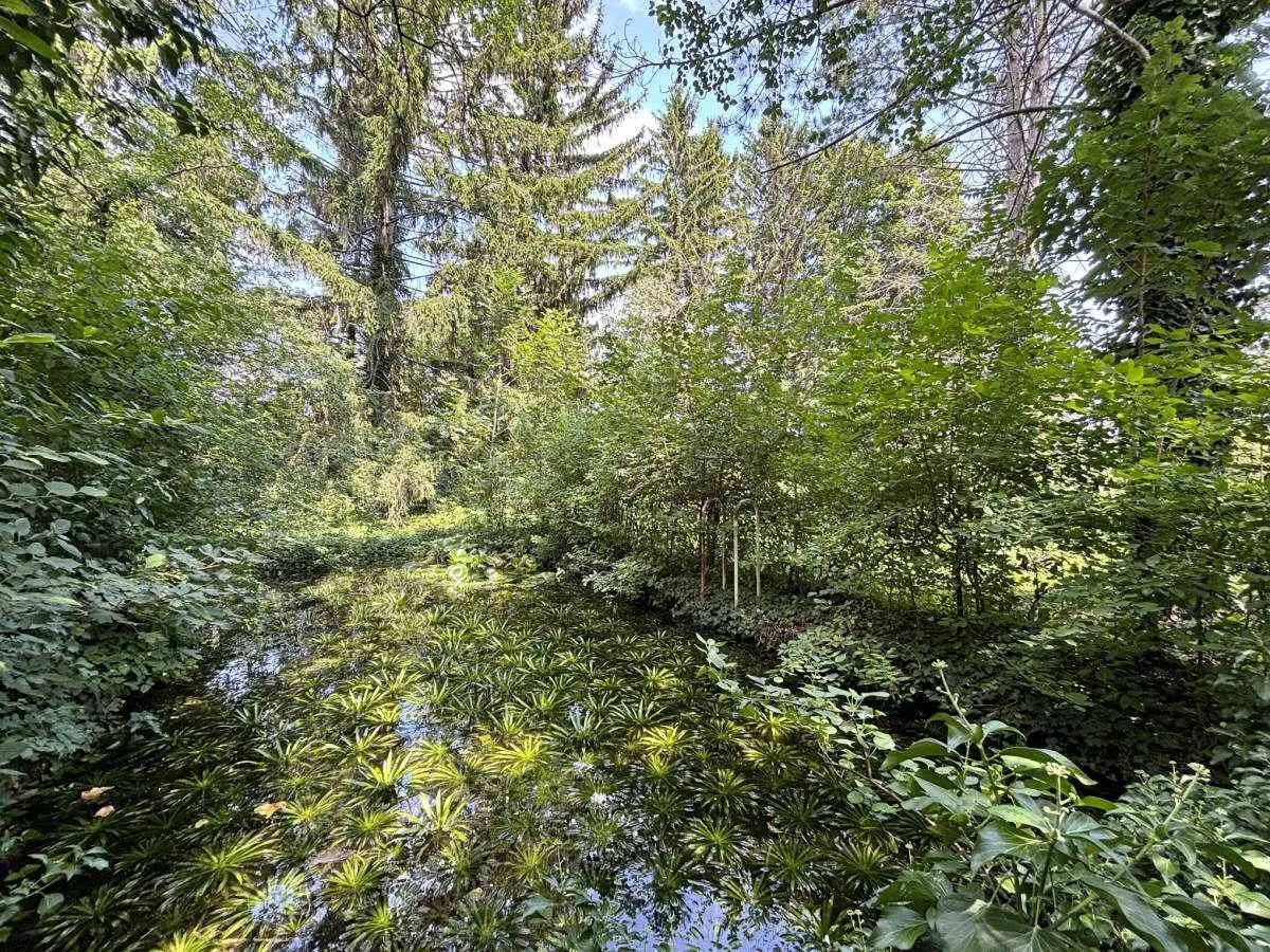 [06652] Projektchance in Theresienfeld: Baugrund mit Naturcharme - Ansicht 3