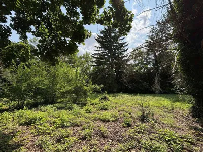 Grundstück kaufen in Wiener Neustadt Land – 1 827 m², € 499.000 – Bild 4 von 10