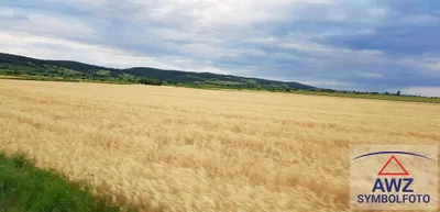 Grundstück kaufen in Steyr-Land – 67 000 m²