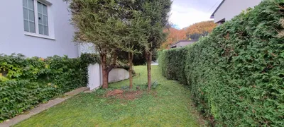 5-Zimmer-Haus kaufen in Lilienfeld – 100 m², € 325.000 – Bild 6 von 9