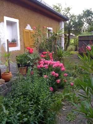 Haus kaufen in Krems Land – 200 m², € 400.000 – Bild 5 von 15