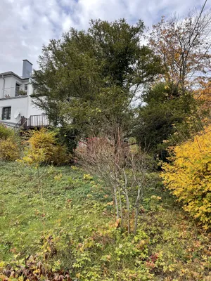 Grundstück kaufen in Wien – 420 m², € 850.000 – Bild 8 von 8