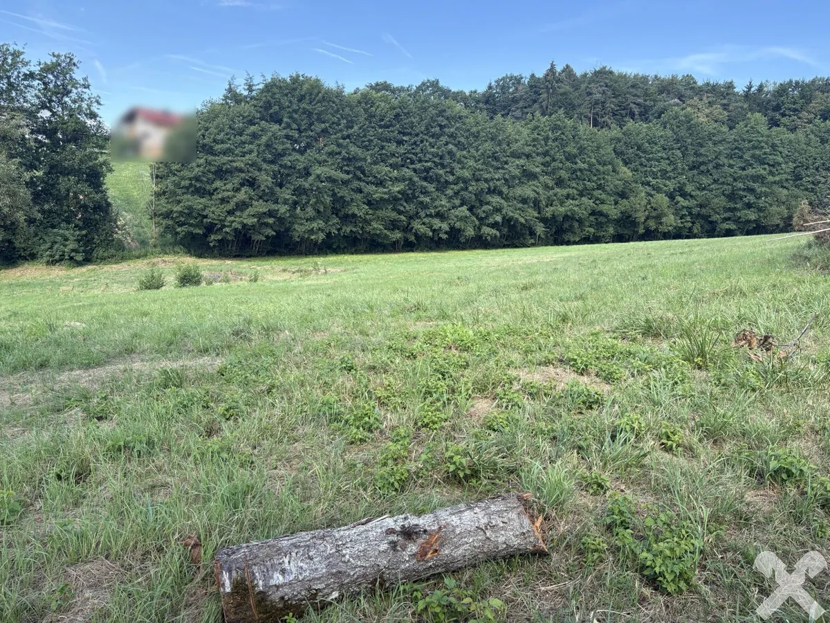 Großzügiges Grundstück - vielseitige Nutzung - in Ruhelage bei St. Marein b. Graz - Ansicht 3