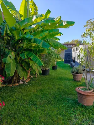 Haus kaufen in Leibnitz – 202 m², € 580.000 – Bild 6 von 35